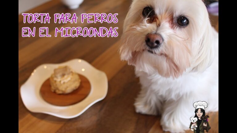 ▷ Pastel para perros en microondas | Actualizado mayo 2023